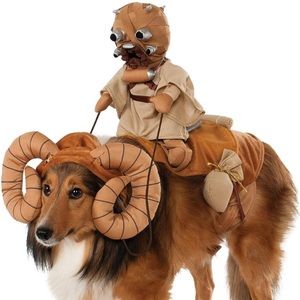 Star Wars Bantha Rider Pet Costume